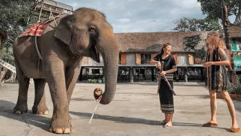 Những Địa Điểm Du Lịch Nổi Tiếng Ở Tây Nguyên Hot Nhất 2026